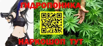 хмурый Тула