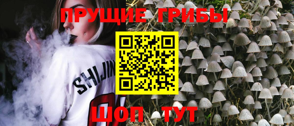 Братск  Псилоцибиновые грибы Magic Shrooms  Галлюциногенные грибы мицелий  хочу   Вход с VPN 