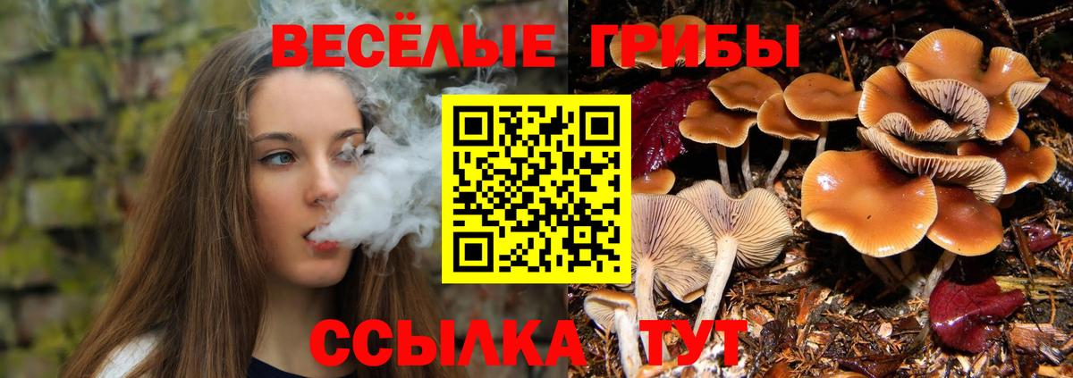 Галлюциногенные грибы ЛСД Братск
